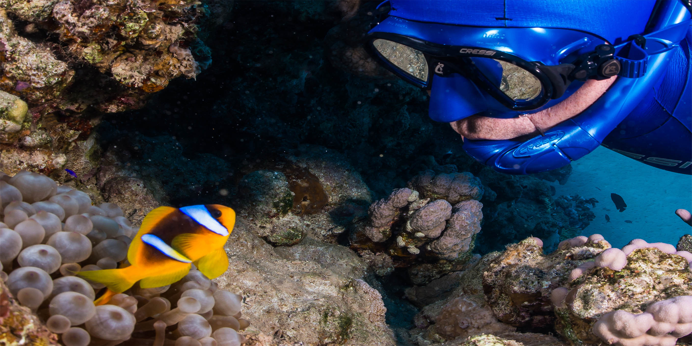 ψαροντούφεκο