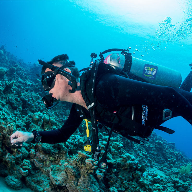 Εδώ θα βρείτε προϊόντα για την αυτόνομη κατάδυση, το snorkeling και το ψαροντούφεκο