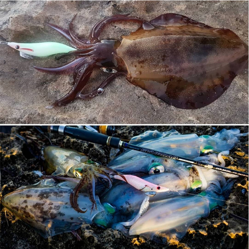 Καλαμαριέρα DTD Color oita 2.5